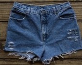 High Waisted New York Jean Shorts