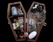 Wasp Boy - Miniature Coffin Shadow Box