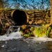5x7 Spring Waterfall Photograph