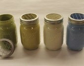 Painted mason jar with frog lid insert, vase for shabby chic, cottage or coastal  decor