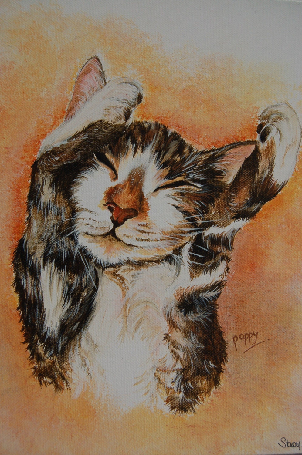 Custom pet portrait, cat small acrylic on canvas, cat or dog