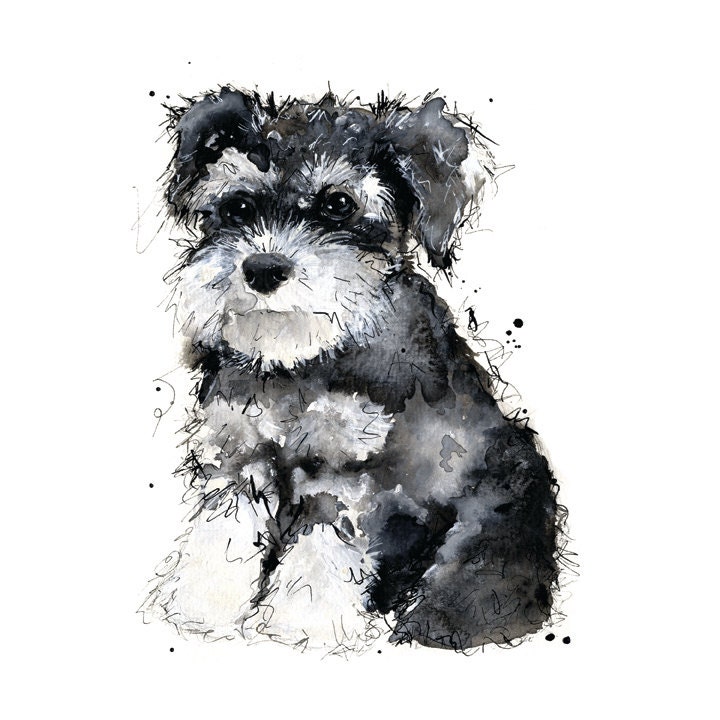 Miniature Schnauzer - 8 x 10 inch print  of original artwork - Dog - Puppy