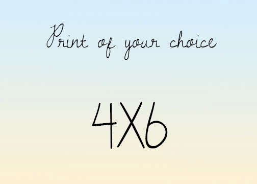 4X6 Photographic Print of Your Choice