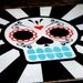 14x14 Rustic Skull Art Painting and Dia De Los Muertos Tattoo Spray Paint Art on Wood
