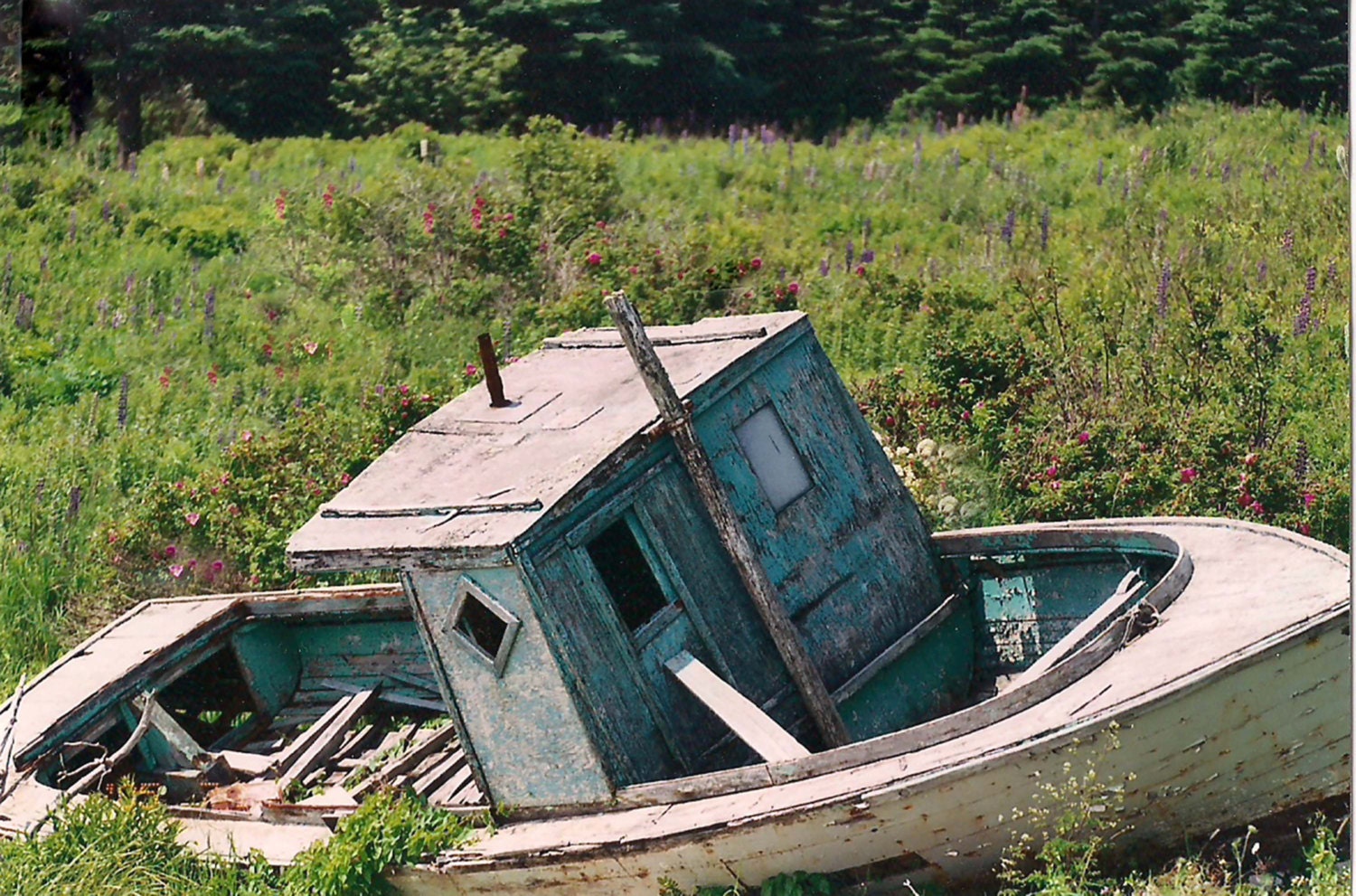 Photo Print - Old Blue Boat