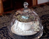 Cloche - Bell Jar- Terrarium - Tea Cup - Bird Nest - Centerpiece