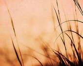 Nature Photography - Beach Photography - summer beach photo, peach coral pink gold, sunset sea shore, wall art home decor - 8x12 Photograph