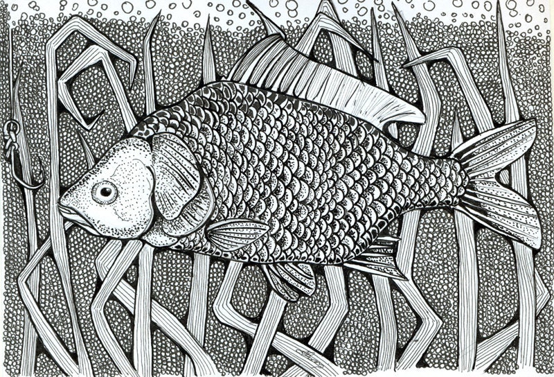 Fish for good luck. Ink drawing on paper. Free shipping.
