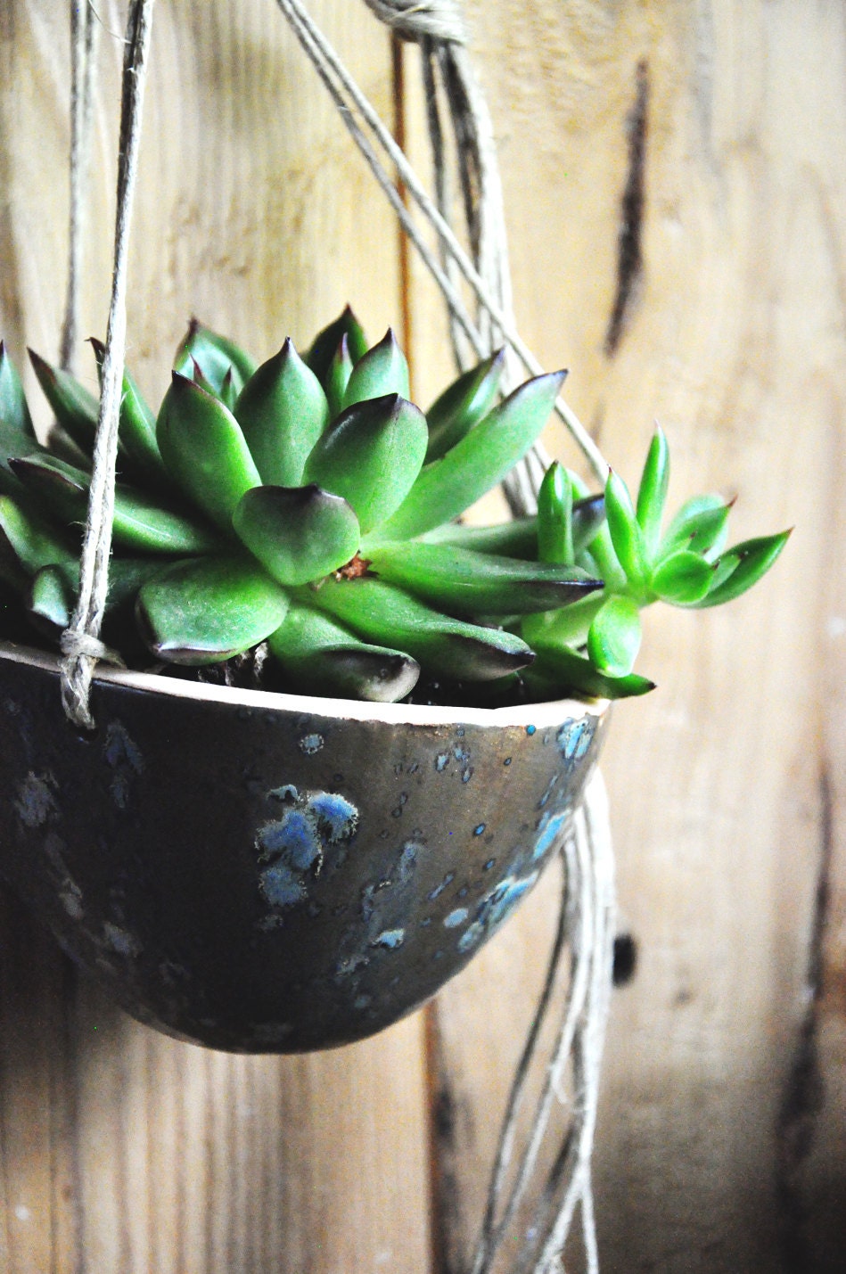 Brown and Blue "Meteor Shower" Glazed Hanging Planter // Succulent Planter