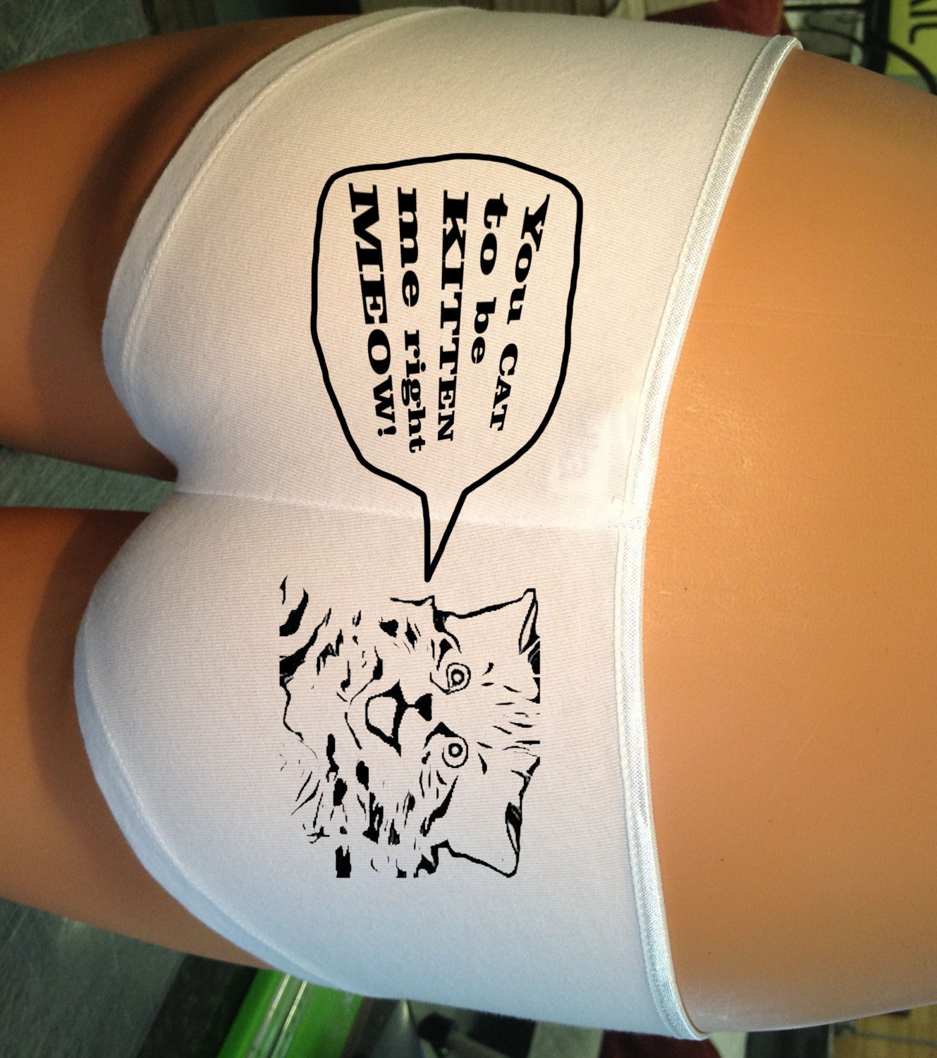 Adorable "You Cat to be Kitten Me Right Meow" undies - Boyshorts - Underwear - Panties