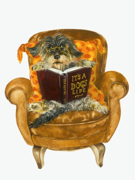 Friends and Neighbours Illustrated Printed Greetings Card Dog Reading Book Armchair