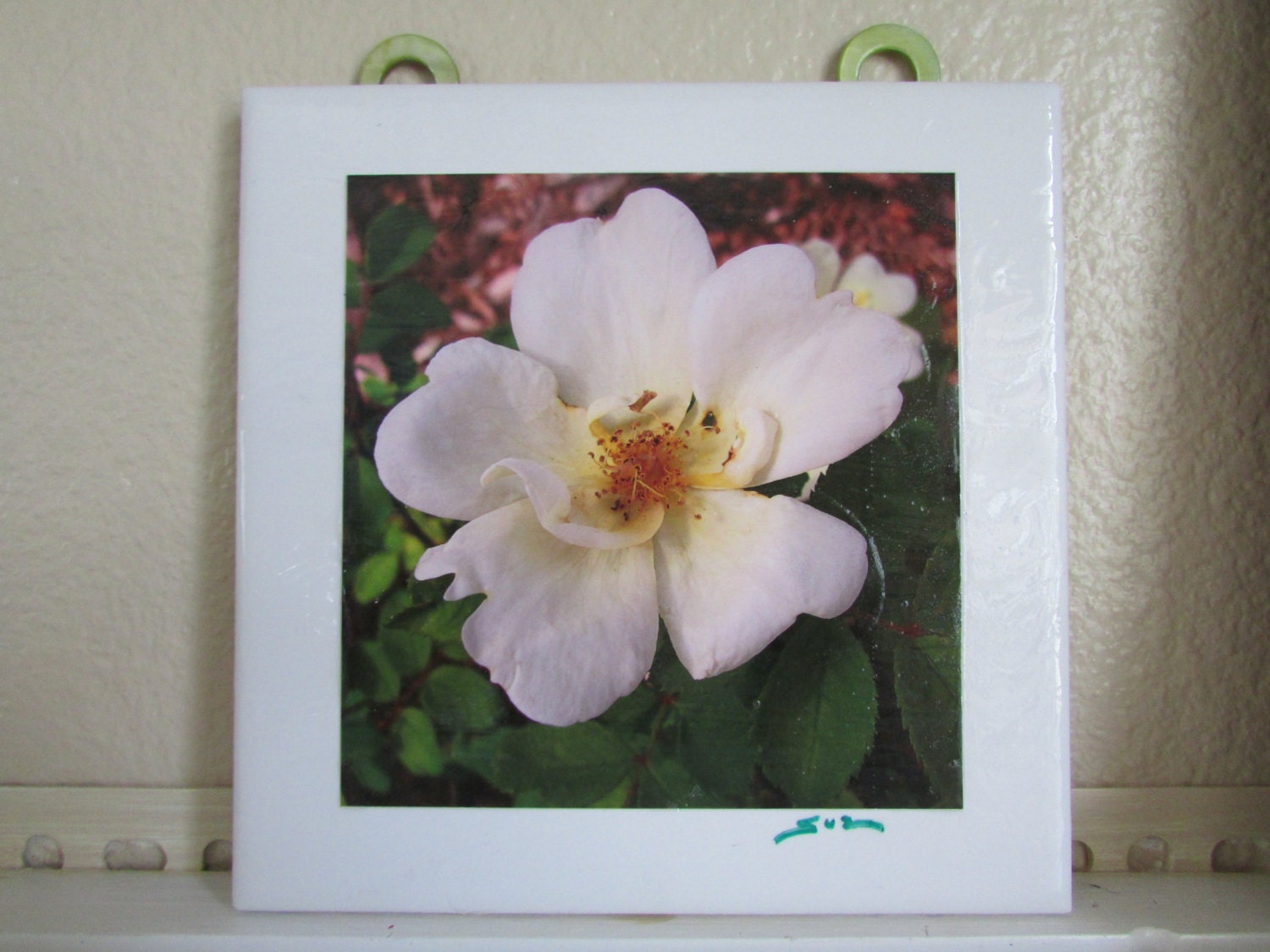 Floral Garden Yellow Rose Photo Plaque 6x6 inch