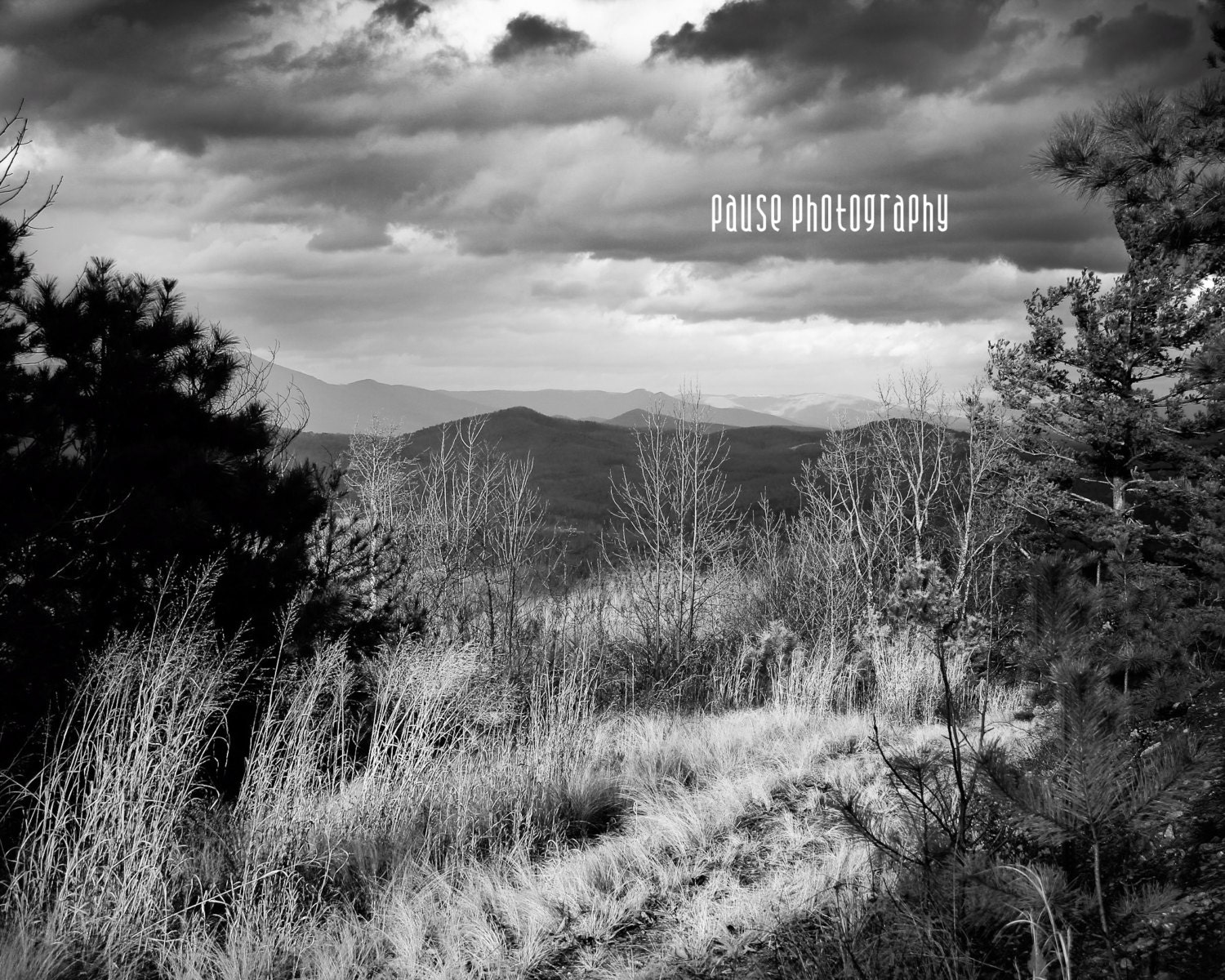 Mountain View-  Fine Art Print, Black and White Photography -Mountains, Nature, Grass, Sky, wall Decor, 8x10 Print