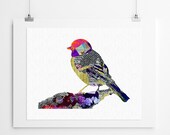 Limited Edition Giclee Art Print - Patchwork Bird