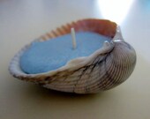 Seashell Candle Ocean Blue Lavender Scented Cockle Shell