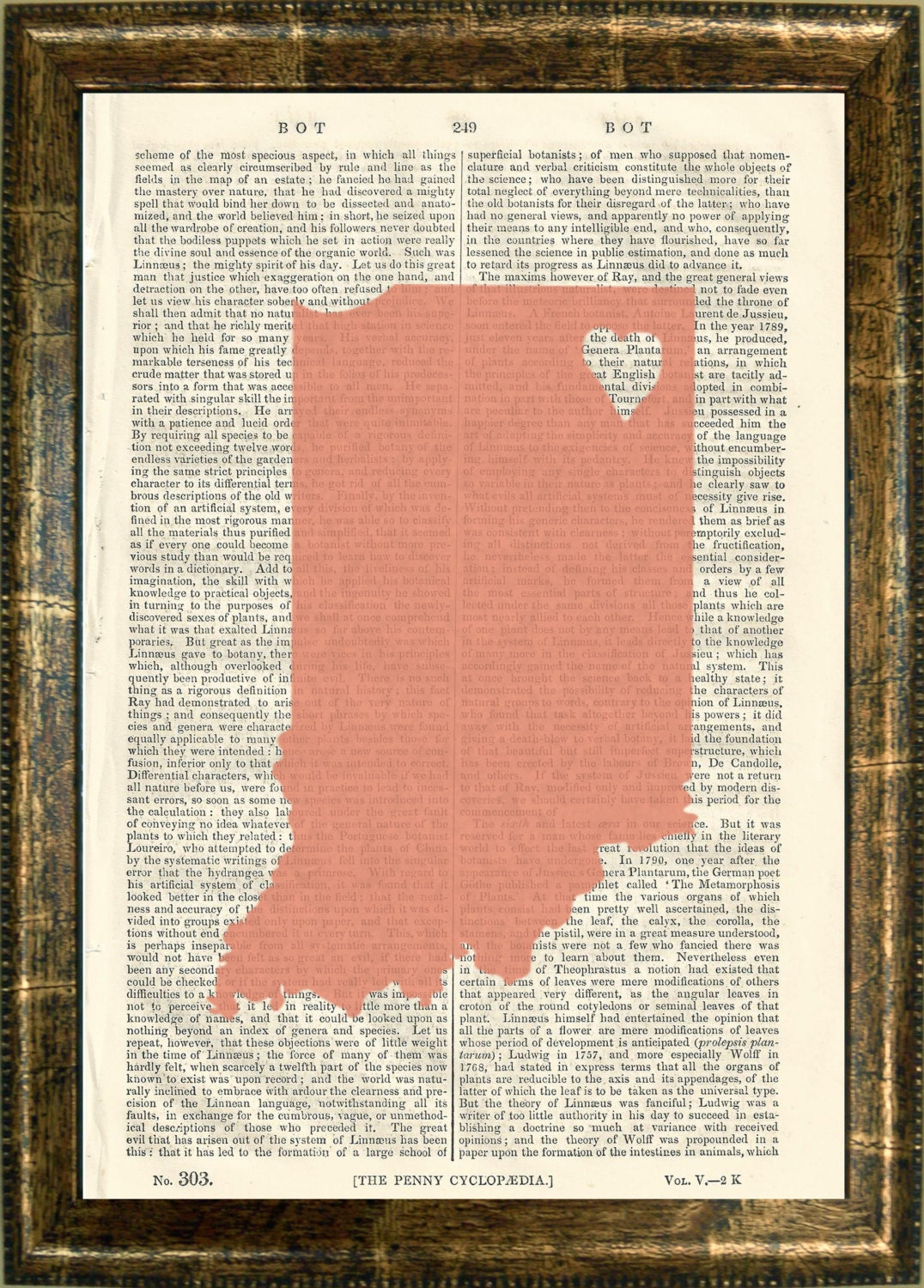 Indiana State Vintage Illustration Beautifully Upcycled 1800s Encyclopedia Art Print
