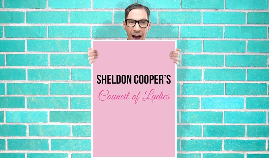 Sheldon Coopers concil of ladies The Big Bang Theory Art  - Wall Art Print Poster 16x23 Inch - Geekery Art Geekery