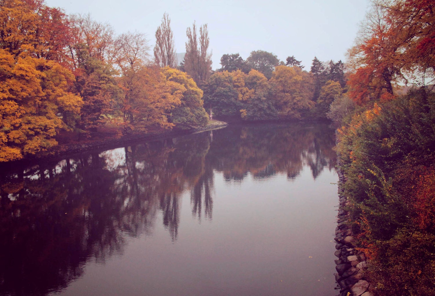 The lake