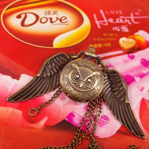 Harry Potter Owl Pattern Pocket Watch Necklace,With Fly the Wings Pendant y124