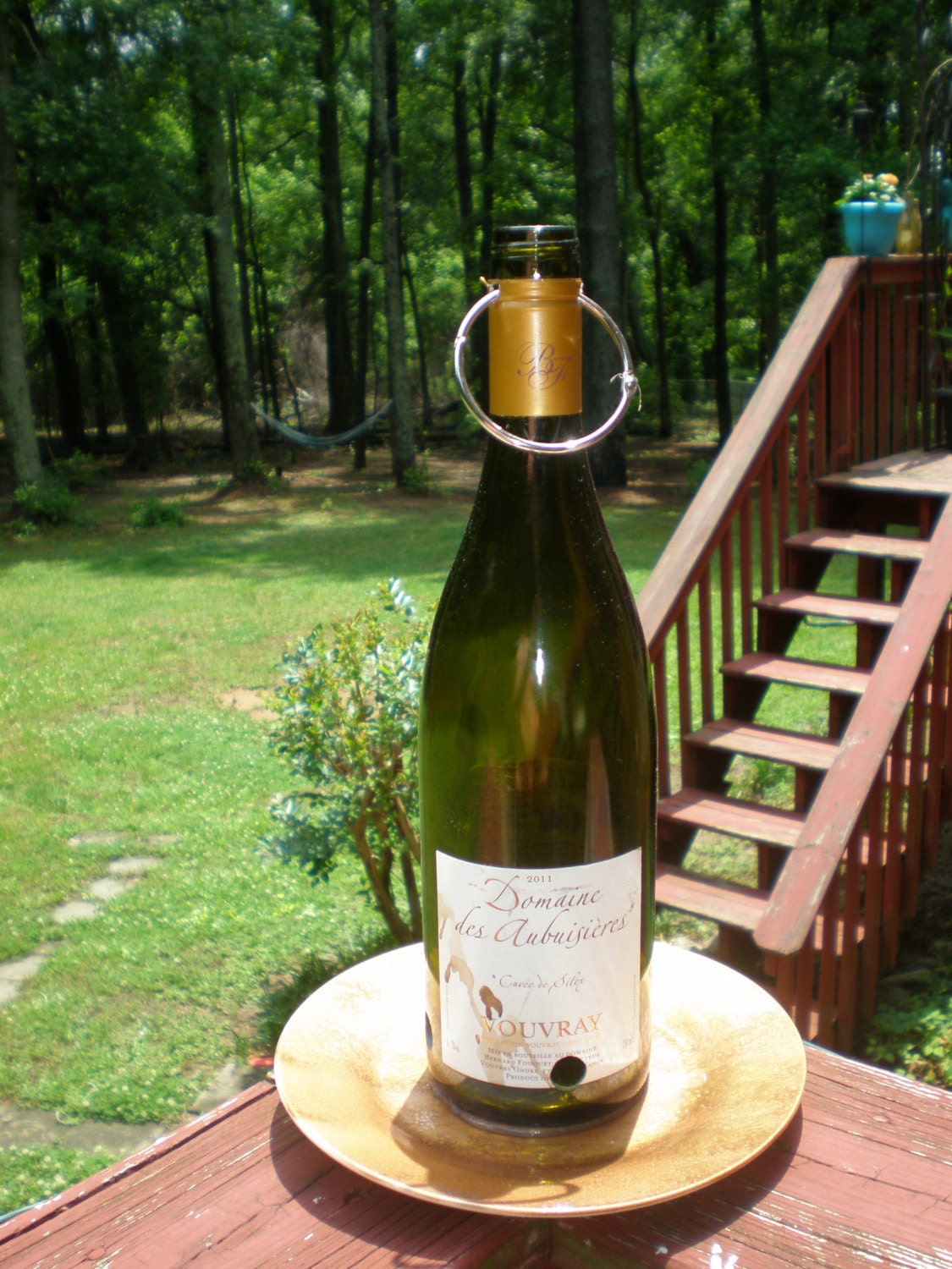 Wine Bottle Bird Feeder