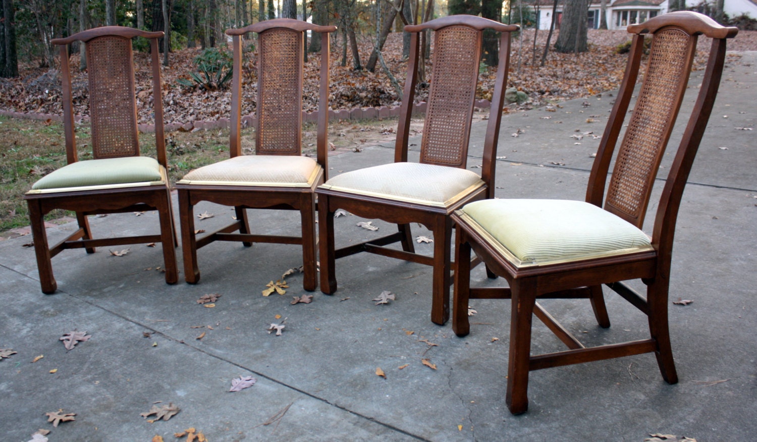 REDUCED  Hollywood Regency Cane Back Dining Chairs with Gold Trimmed Upholstered Seats