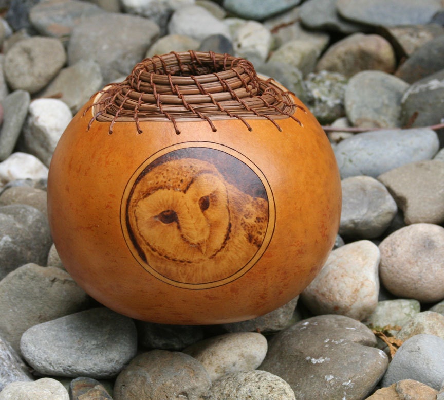 Barn Owl Mini Gourd Bowl Pyrgraphy woodburned