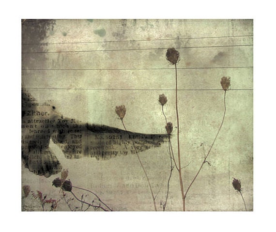 Nature Art, Collage, Seagull Image, Animal, Bird Art - Paper Seagull