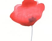 Art, Painting, Original Watercolor Painting: Red Poppy 3