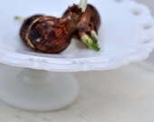 vintage milkglass cake stand