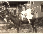 vintage photo Sisters on Donkey by Rose Bush and House RPPC