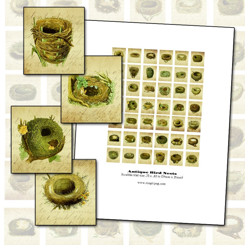 Altered Art Antique Bird Nest Scrabble tile digital collage sheet .75 x .83 in 19mm x 21mm 19x21 mm
