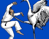Karate Crane 3-Pack, Stationary Cards, Folded Cards, Blank Cards, Greeting Cards,  Matching envelopes included
