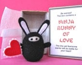 Ninja Bunny of Love with Box