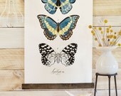 Vintage Inspired Science Posters - LEPIDOPTERA VOL 2