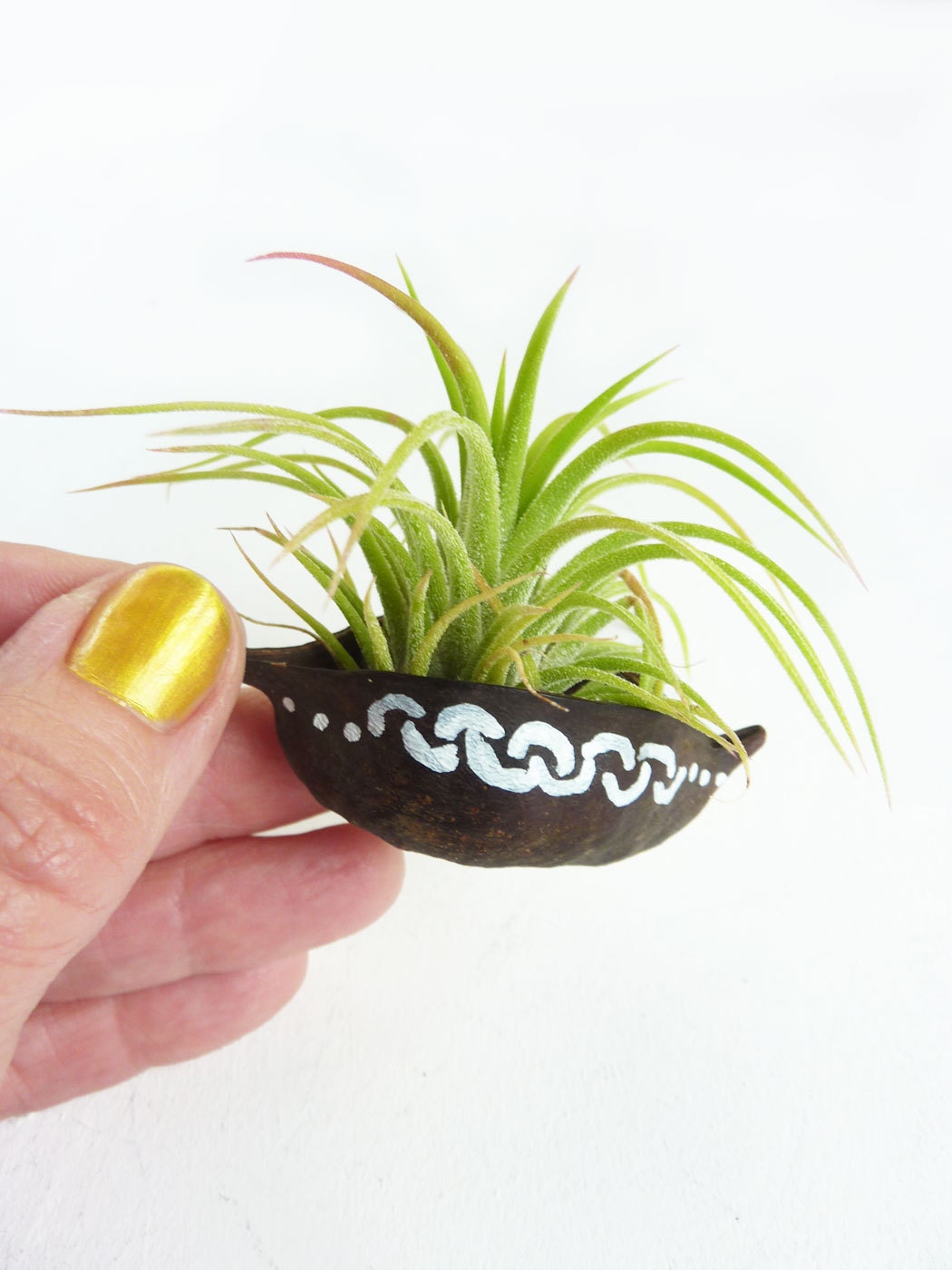 Painted Pod Air plant holder- Natural Brown with white chain link design