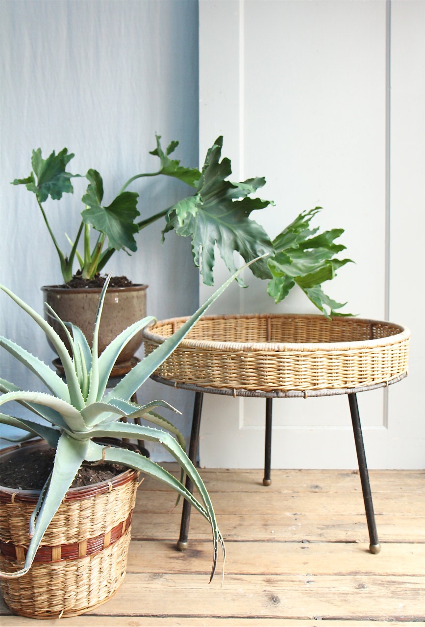 Mid Century Wicker Planter / Albini Style, Wicker, Plant Stand, Tripod, Table, Tray