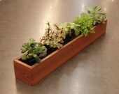 Long Window Box Succulent Planter in Reclaimed Cedar