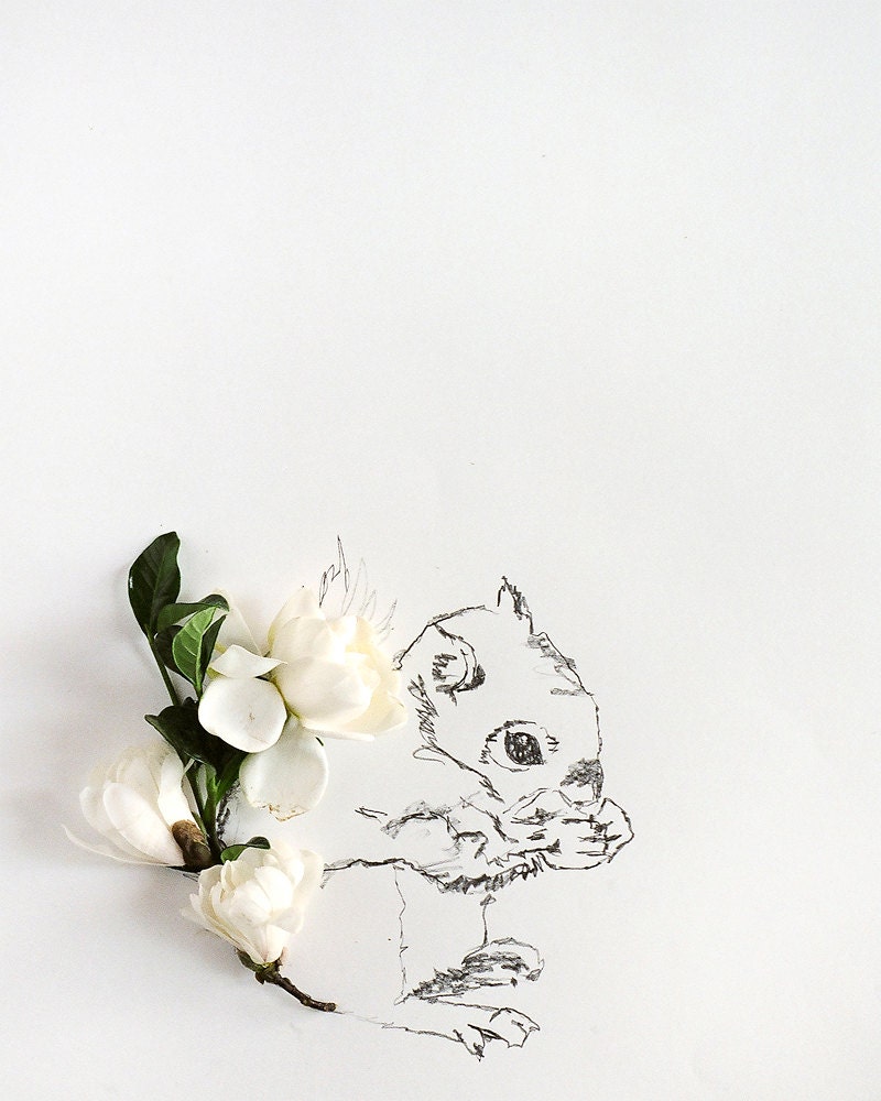 squirrel and Flower Photograph No. 88233