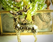 spring in the woods, woodland deer