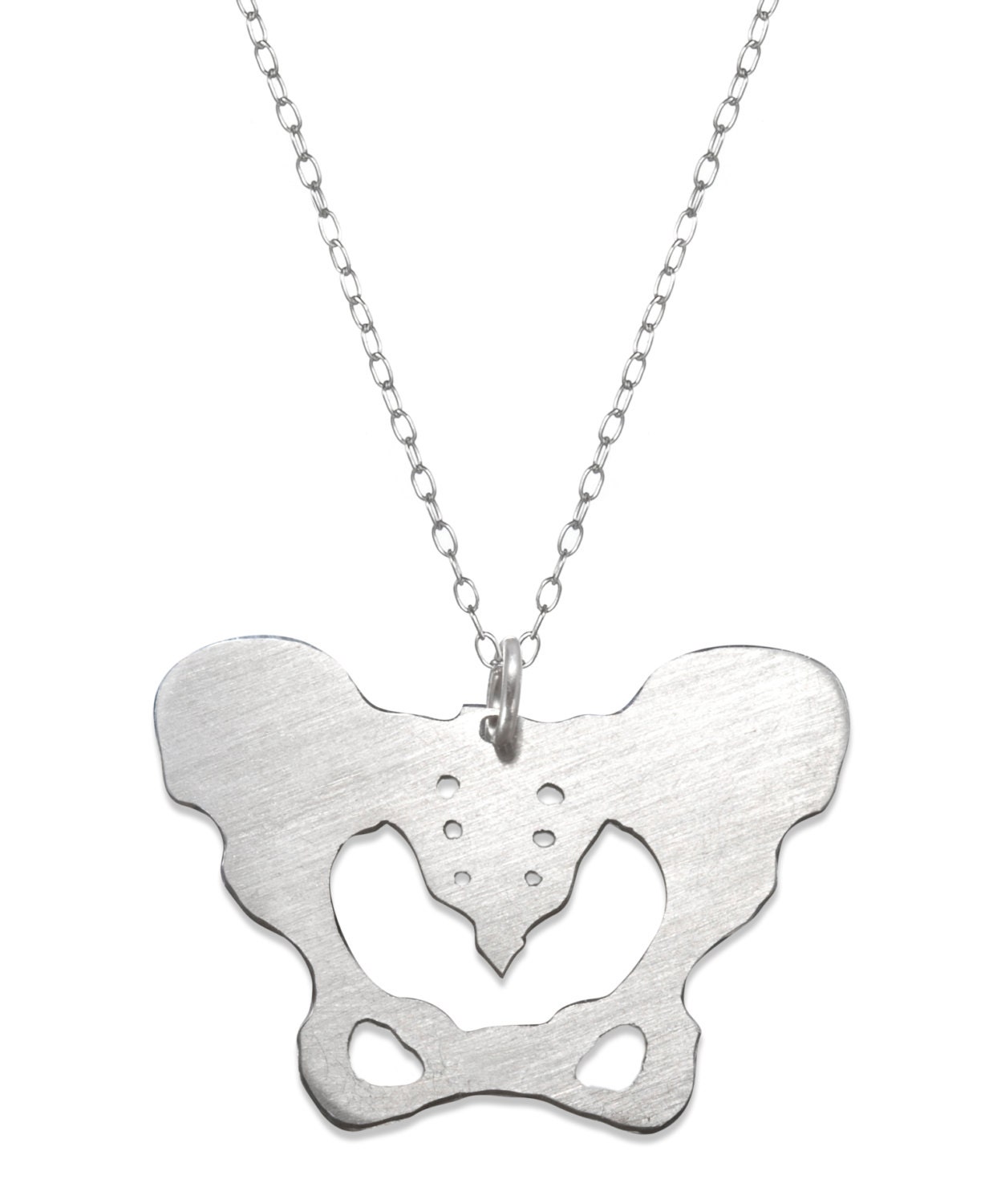 Pelvic Bone