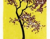 Wild Black Cherry - Original Color-Reduction Woodcut