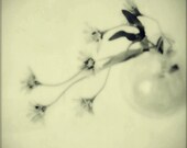 Lovely Wall Art
