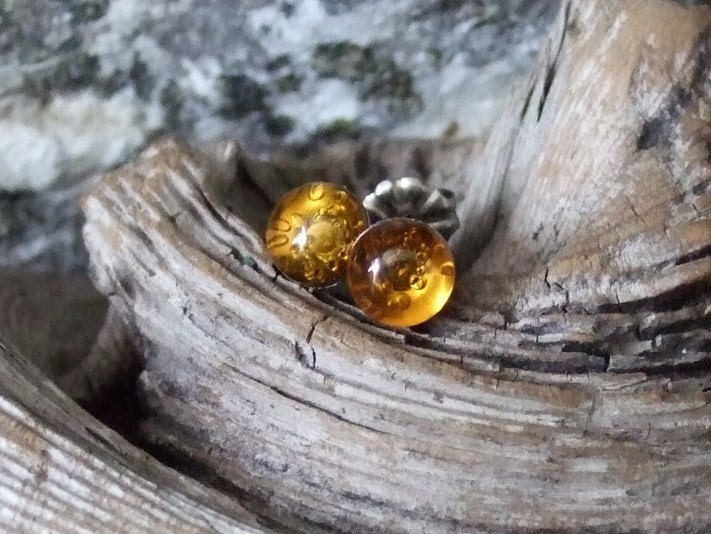 Baltic Amber 6mm Ear Studs Stud Earrings Earings Titanium Posts and Clutches Hypo-Allergenic Made in Newfoundland Energy No Bugs