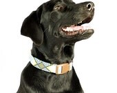 Blue Plaid Dog Collar - Art Deco Plaid in Blue - Made to Order in Your Choice of Size