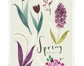 Spring Flowers 13x19 - Botanical watercolor collection - Art print