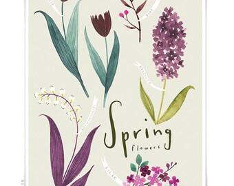 Spring Flowers 13x19 - Botanical watercolor collection - Art print