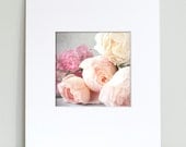 SALE - Flower Photography, Roses Matted Photograph,  5 x 5 Fine Art Photo in 8 x 10 Mat