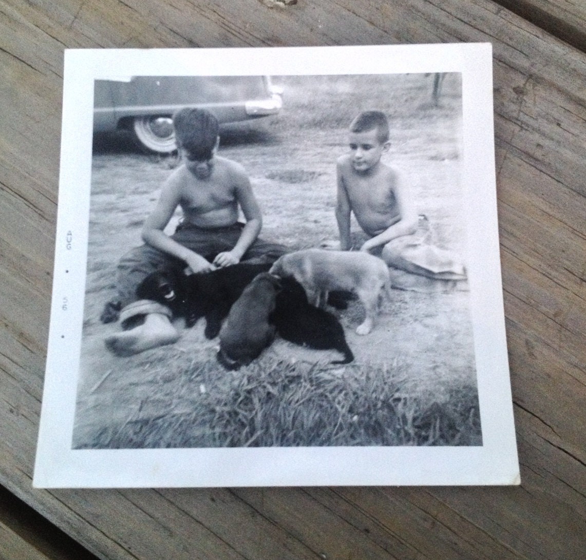 Boys and Their Dogs - Vintage 1950s Photograph