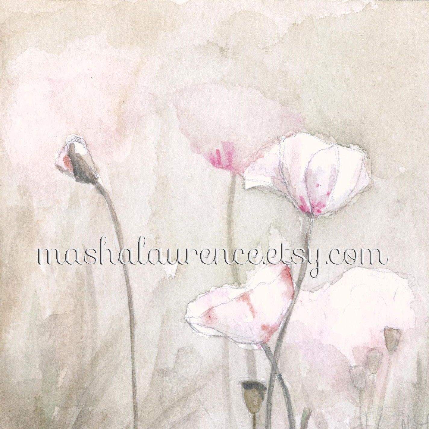 Pink Poppies. Art print. 5x5 inches.