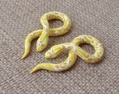 Yellow Python Gauges